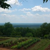  Monticello